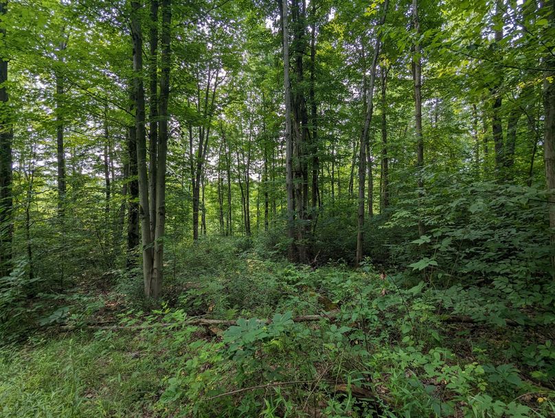 PXL_20230801_144010854