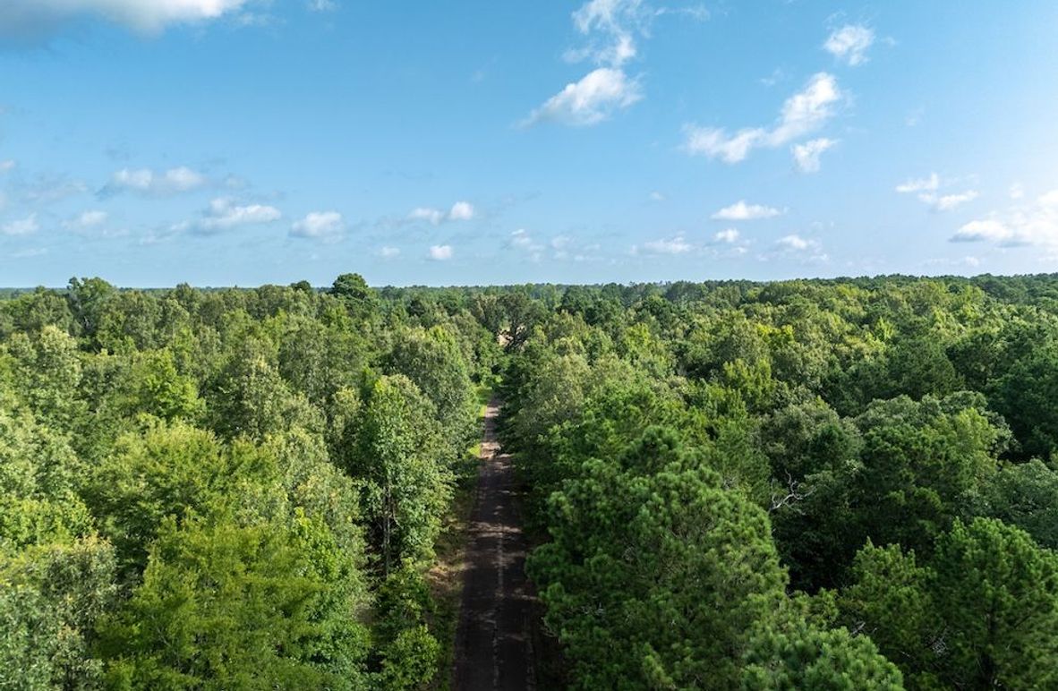 2 Upshur Co. 26ac - Genignani-01