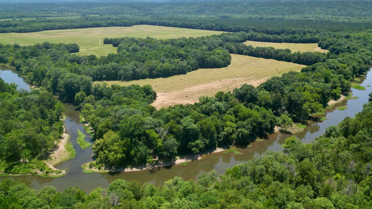 Riverfront Pasture And Hunting Land Whitetail Properties
