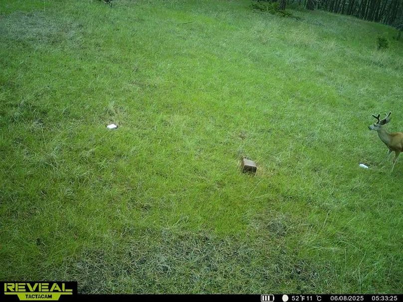 865509052769050-50-3-06082025053348-W1001198