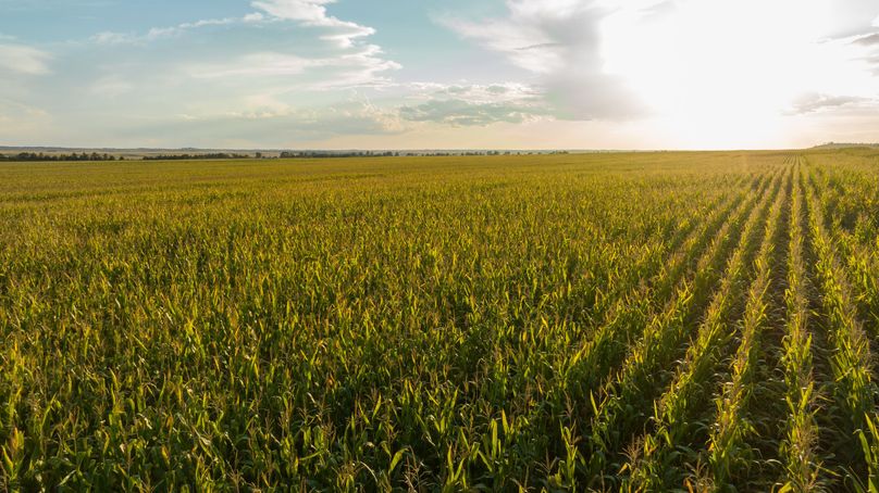 Keya Paha NE 2700_Pro Photo-54