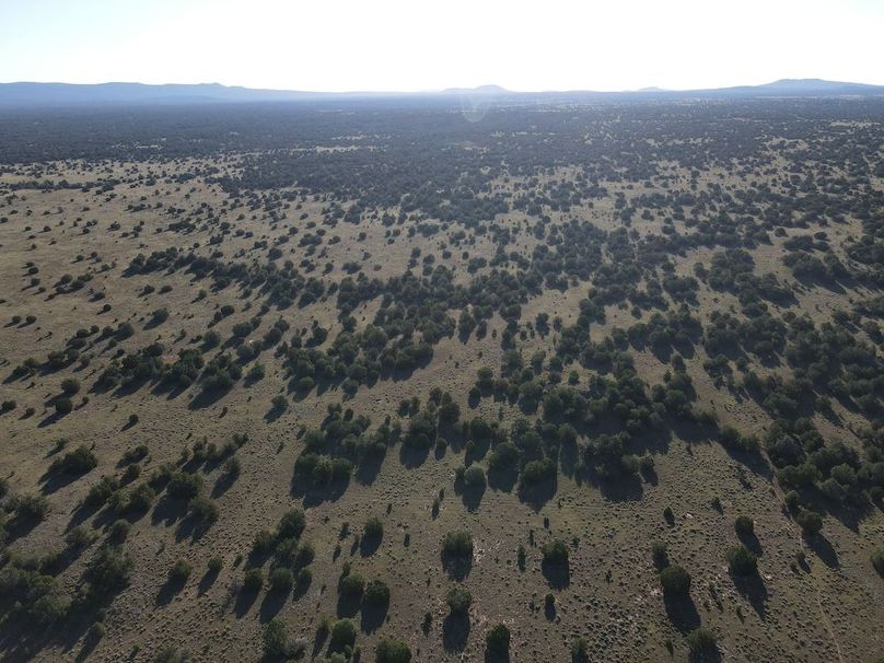 dji_fly_20240816_081216_532_1723817958948_photo