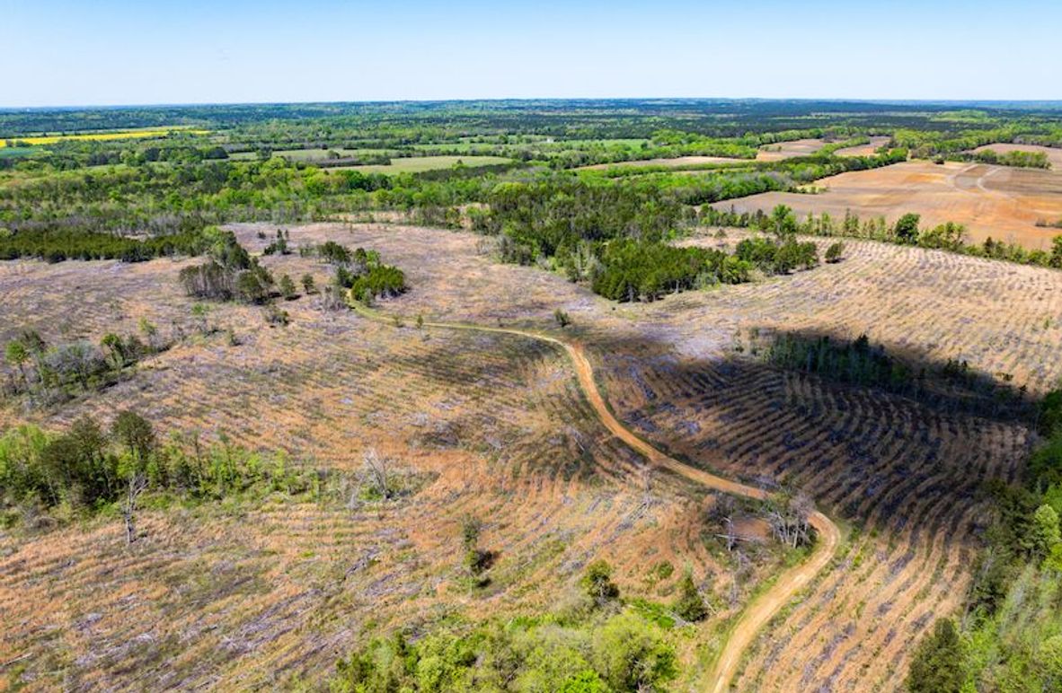 Chickasaw 165 Woods-03