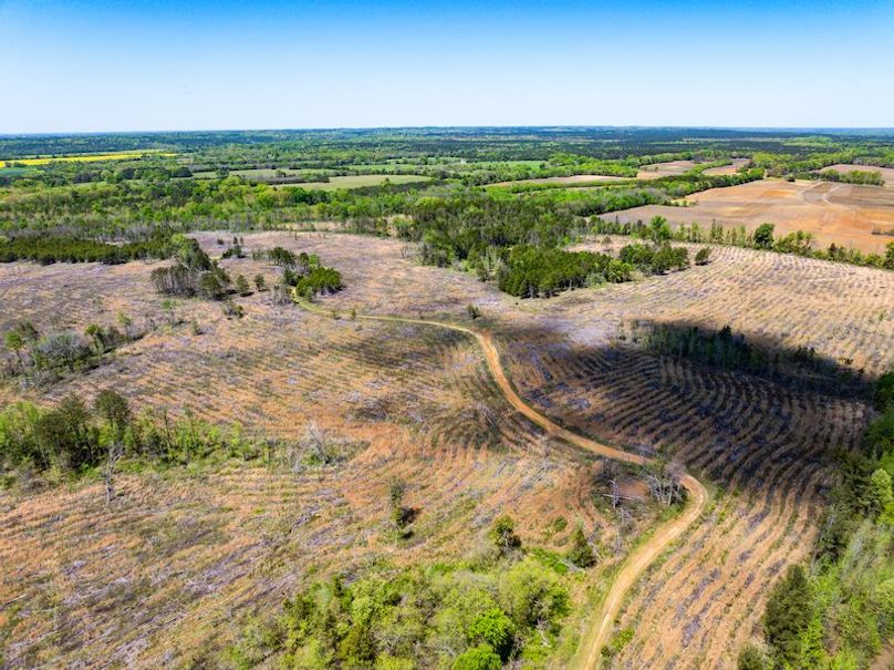 Chickasaw 165 Woods-03