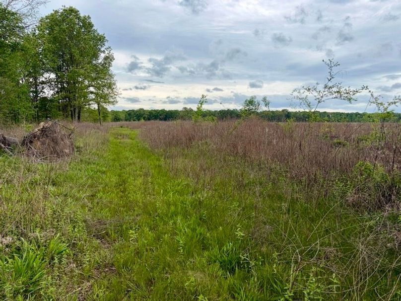 026B06BF-347B-4BC7-9710-B99AE6607812_1_105_c