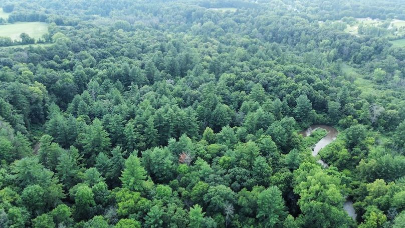 dji_fly_20240715_182032_680_1721085641816_photo_optimized