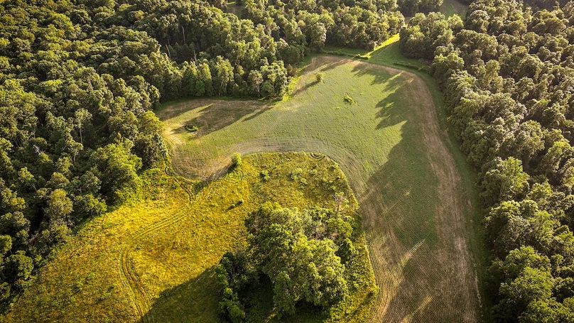 dji_fly_20250705_194630_0404_1751759933333_photo