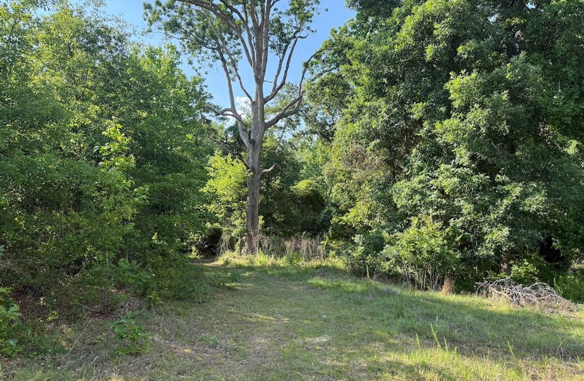 2 - trail 1