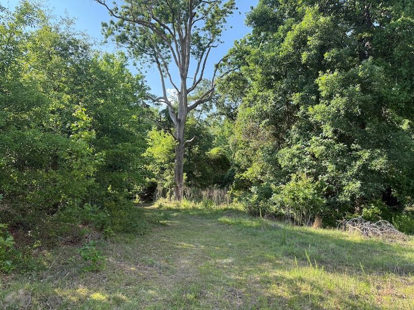 2 - trail 1