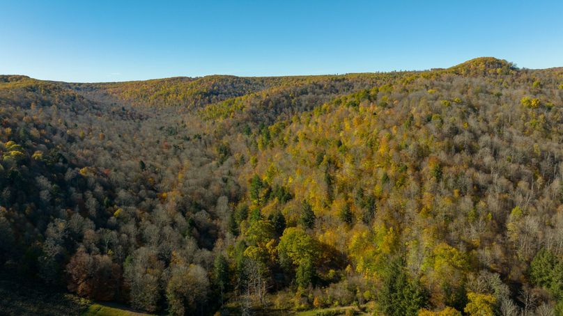 Elk PA 7000 Feature_Pro Photo-109