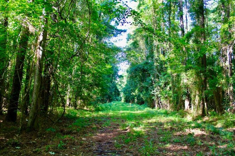 FC410AEA-6585-417D-86CC-9F8BC7107C2F_1_201_a