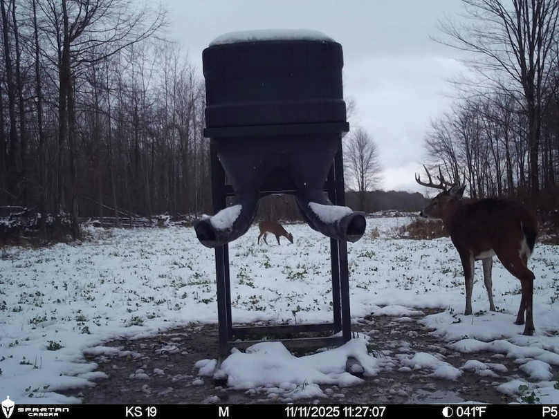 File Nov 11 2025, 8 56 49 PM