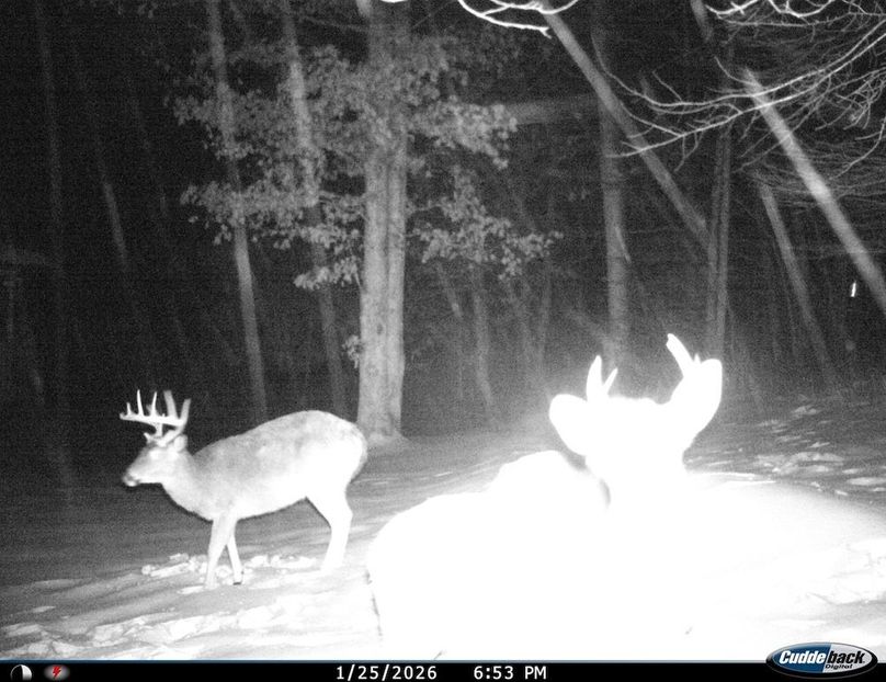 910E9535-11E5-4E2C-86A5-17F3451893C3_1_105_c