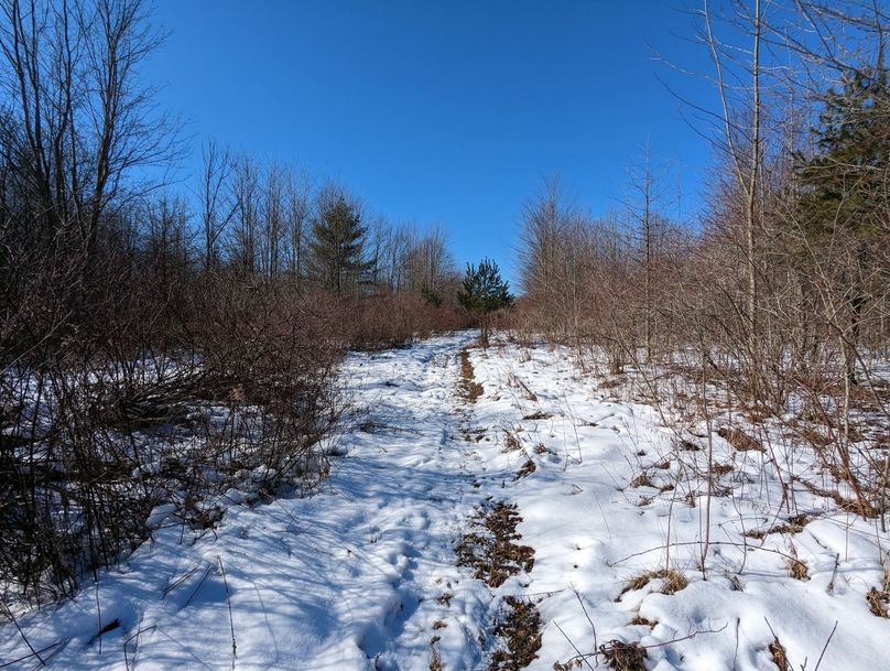 PXL_20230202_164424659