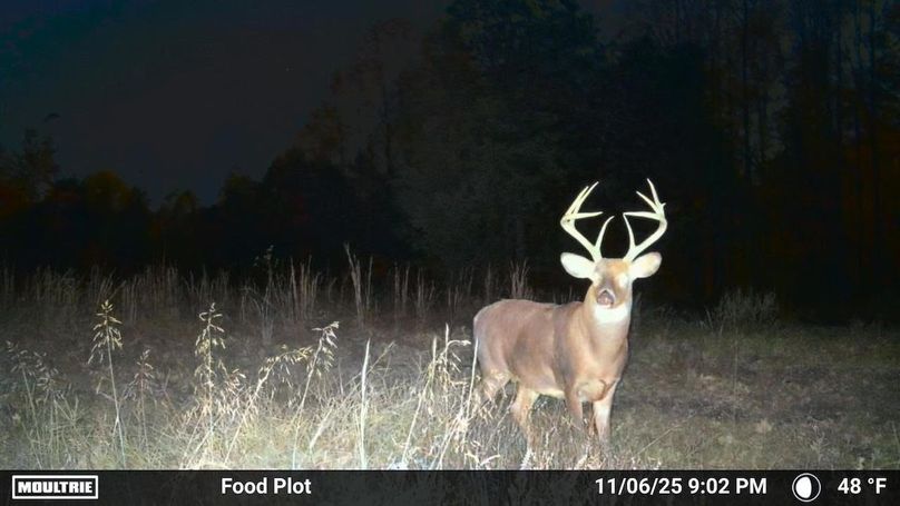 Grayson 48.195 Johnson23