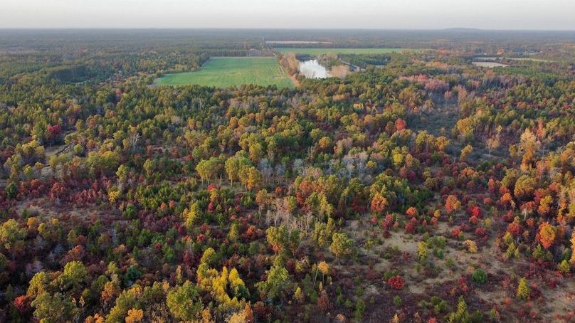 dji_fly_20241011_174854_445_1728687460774_photo_optimized 2