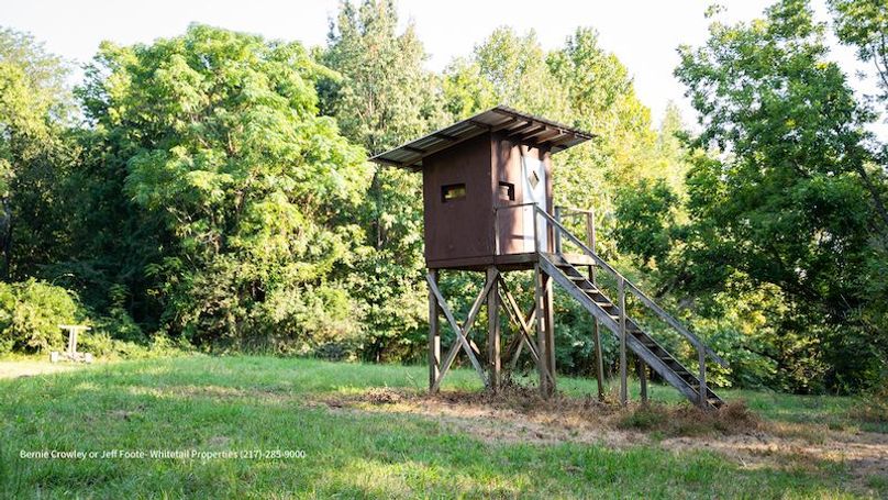 Tallahatchie 847 Messina-22