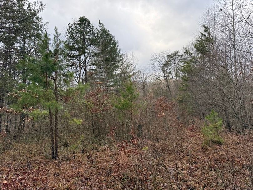 008 look closely and you can see the old cemetery headstones