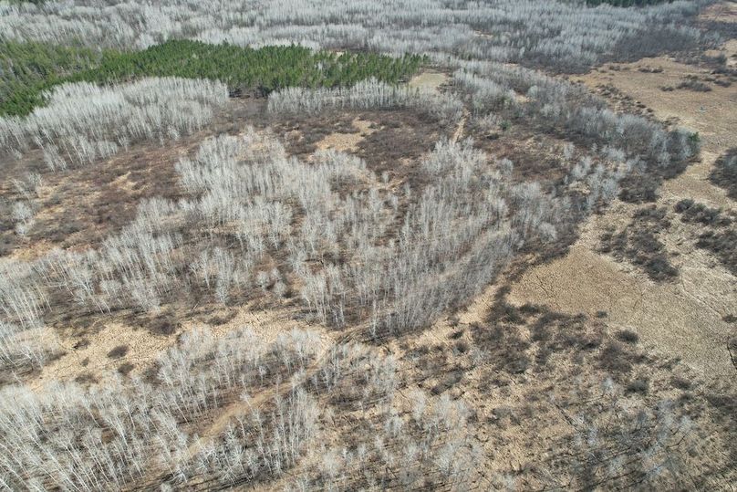 dji_fly_20260415_161308_155_1776288021485_photo