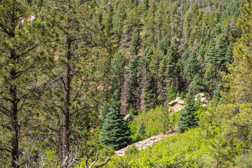 Copy of Los Alamos 508 6-24-9