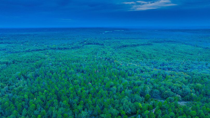 9 Upshur Co 603 ac Weise