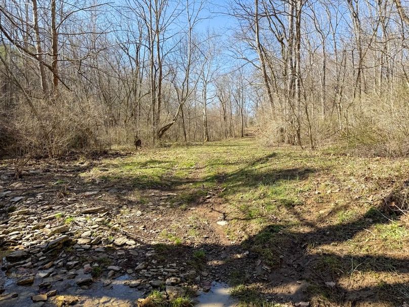 Fleming Petry 120-073