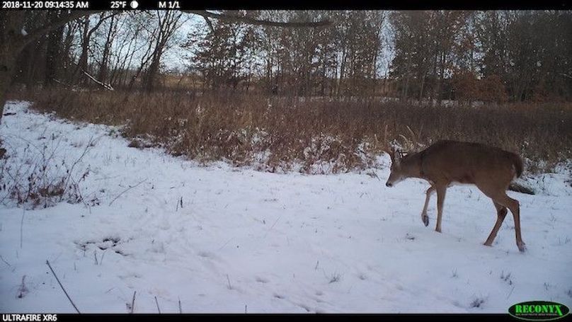 2018-11-20 09-14-35 M 1_1