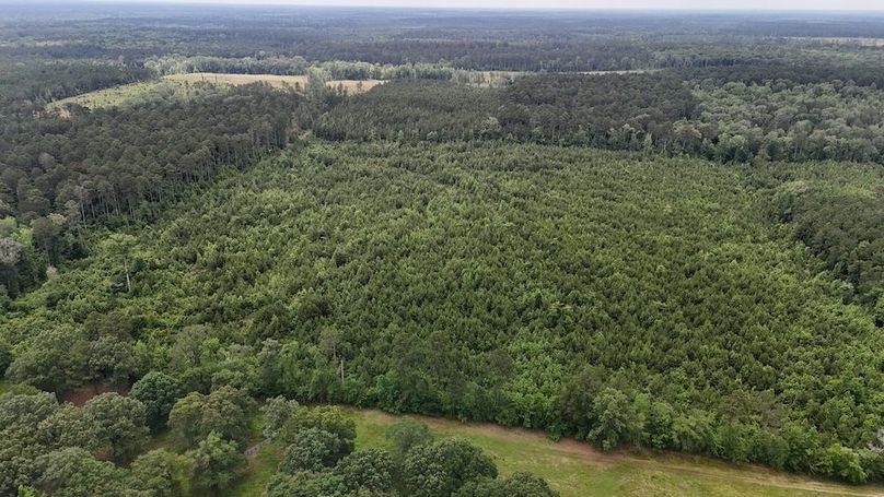 Copy of DJI_20250530005330_0560_D