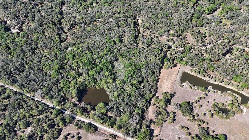 DJI_20260221145344_0342_D