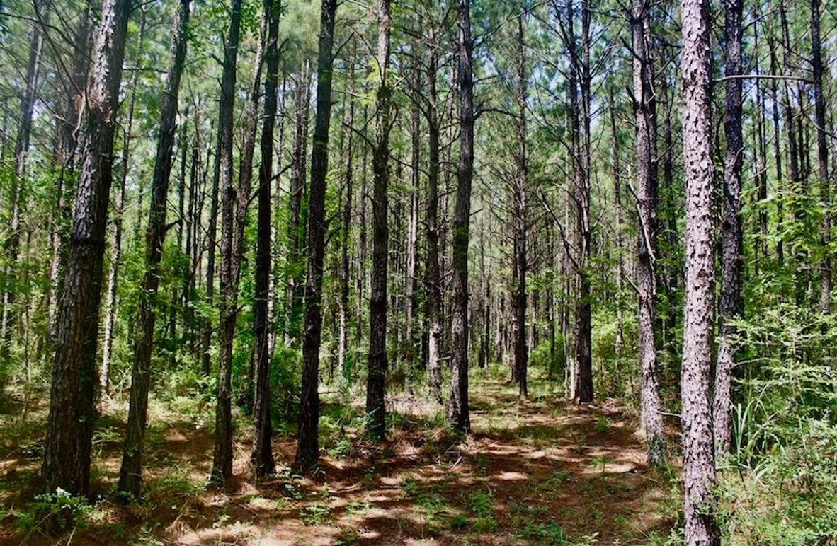 1F7D9F10-7AD4-438C-BC39-CE58A1358895_1_105_c