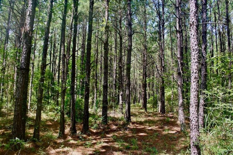 1F7D9F10-7AD4-438C-BC39-CE58A1358895_1_105_c