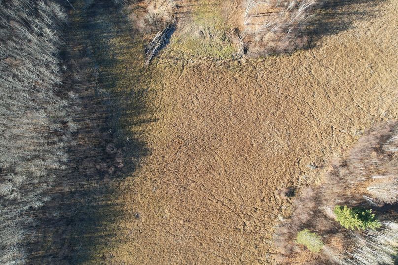 dji_fly_20231113_100756_286_1699892019180_photo