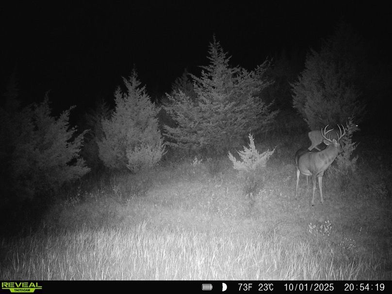 Copy of 860516067863955-100-2-10022025035706-HD-SYFW8108