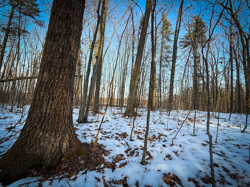 Seneca_43_Hohwald_Photos_15