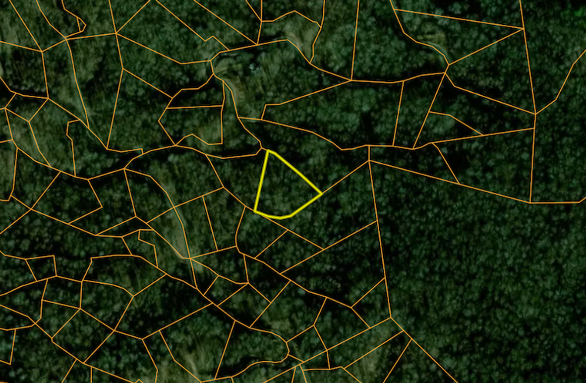 Mitchell NC 1.07 Andrews1