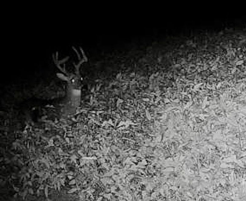 865519049947982-90-4-09142022193158-W1000882