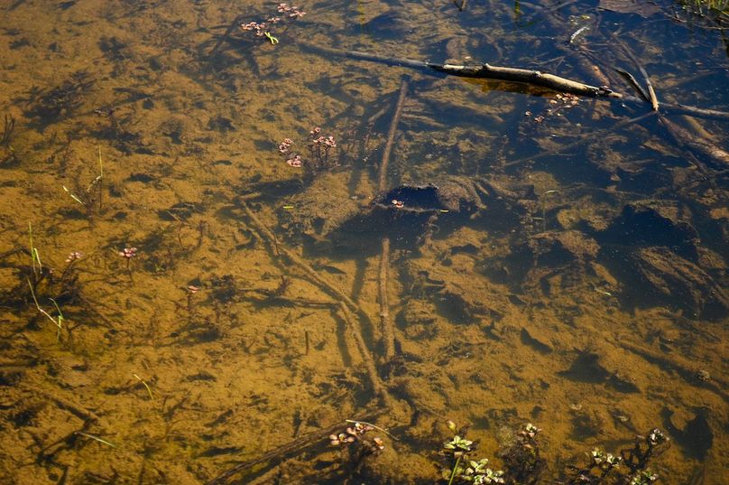 vandalia 450 (2)-2488