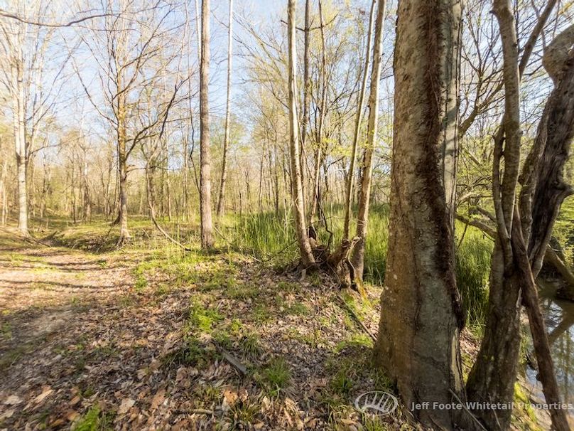 Warren Co - 45.5 - Bockman-75