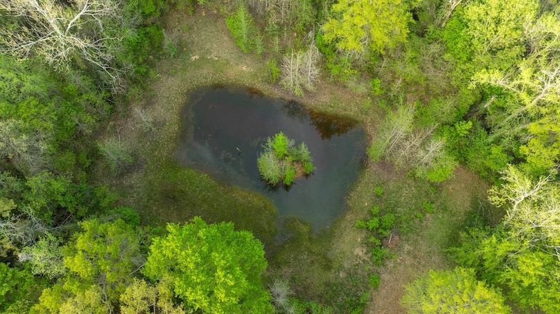 86 Marion TX 143 and 117 Featured_ProPhoto-158