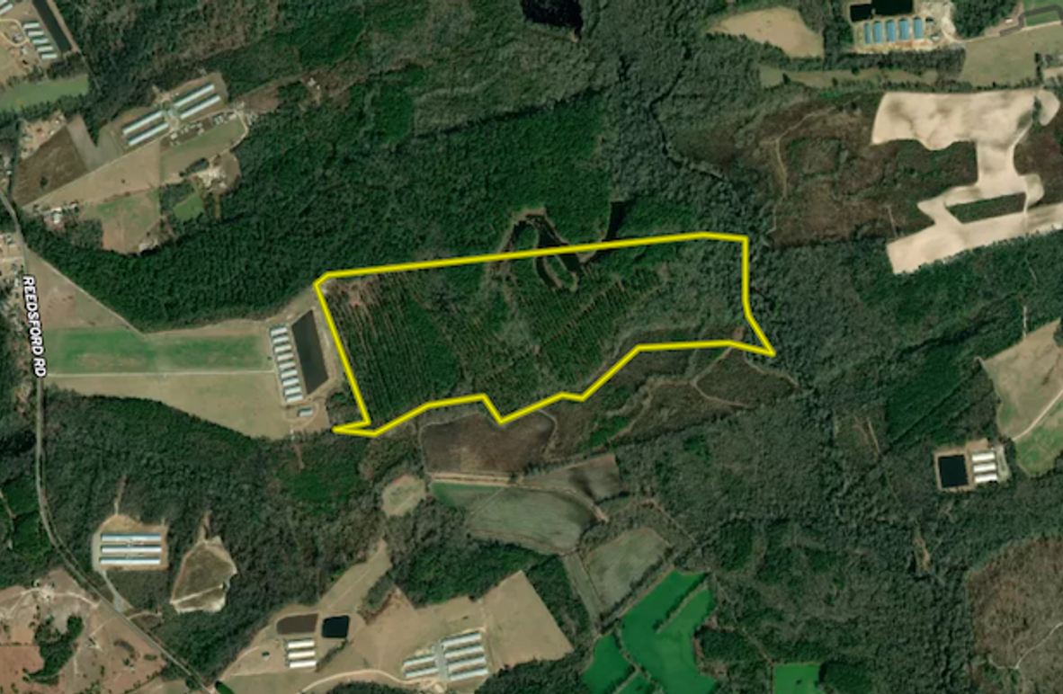 Screenshot 2025-07-02 132945