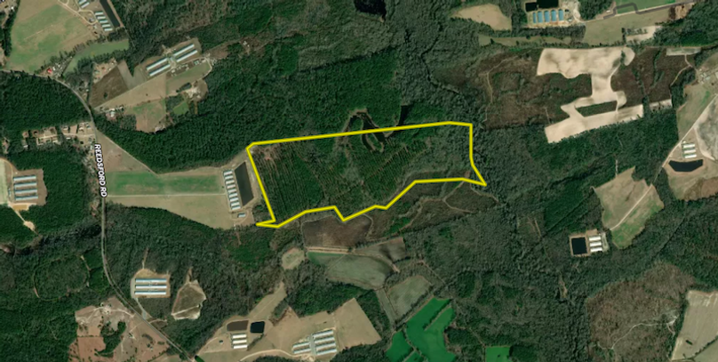 Screenshot 2025-07-02 132945