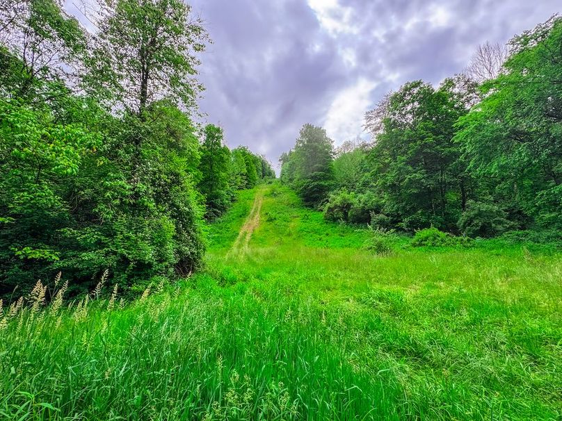 Tyler, WV 313.87 AC -43