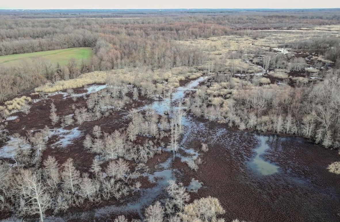 St. Francis 138.5 Calvin Parker Farms Profile -01