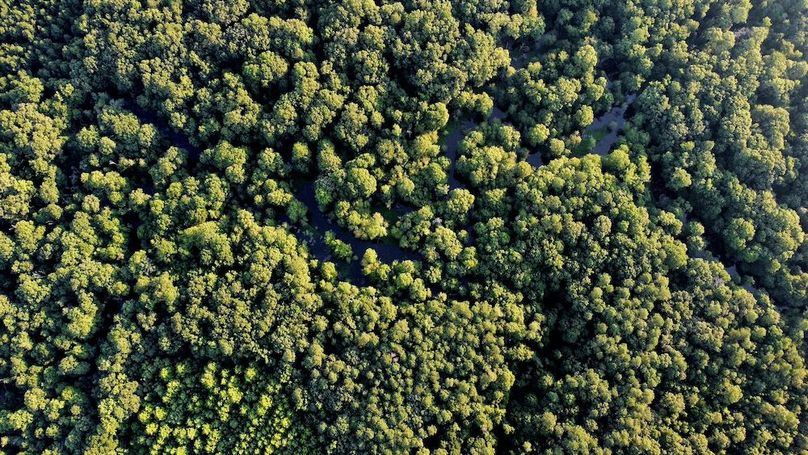 dji_fly_20250726_071910_489_1753528762034_photo_optimized