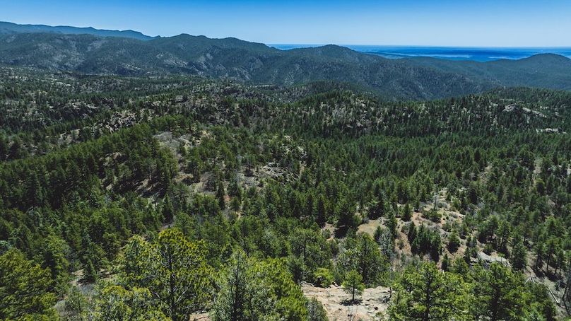 DJI_20240517125638_0083_D