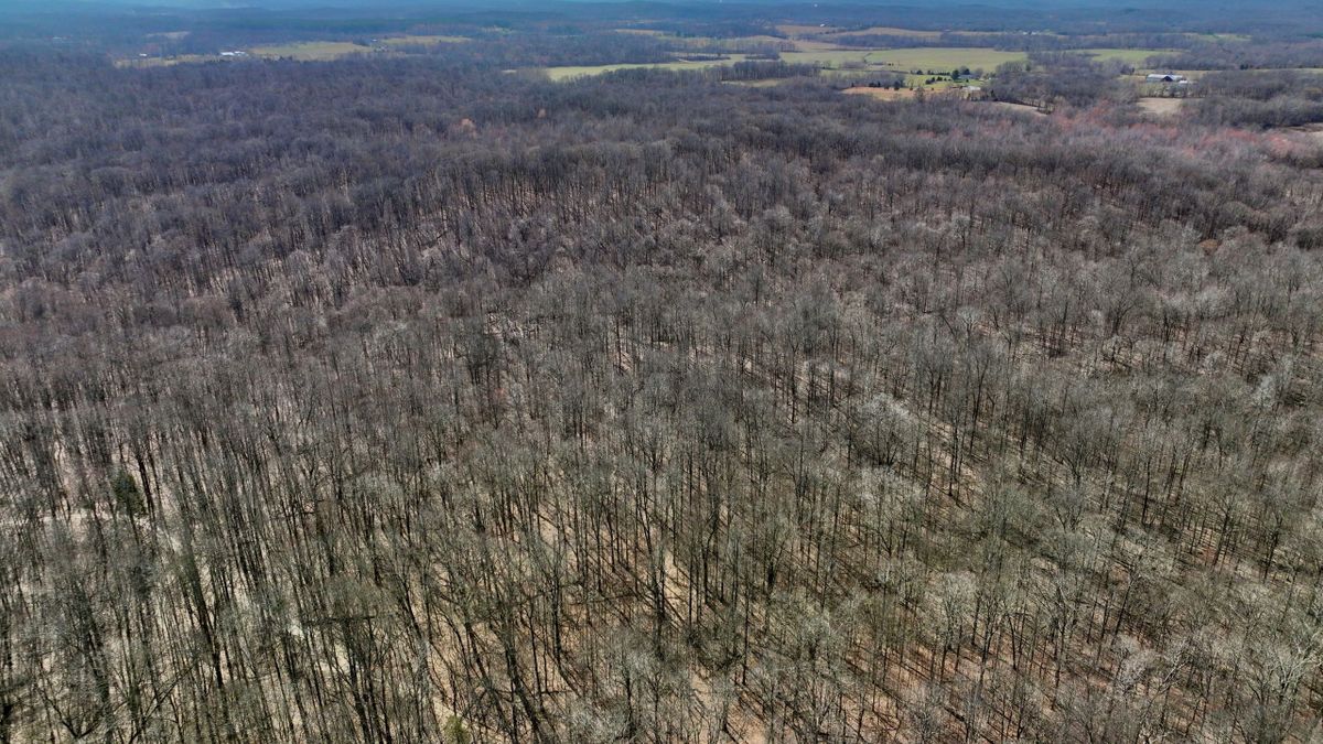 Timber Hunting Farm For Sale In Shawnee National Forest Area