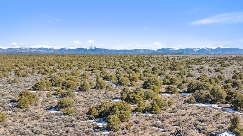 DJI_20260215145645_0169_D_1