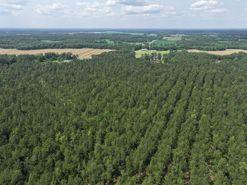 DJI_20250604142008_0090_D