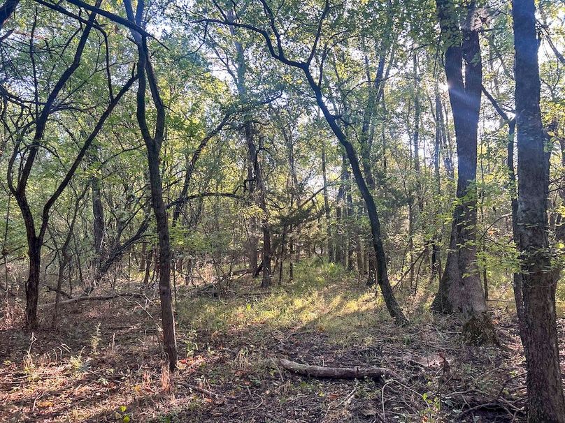 Lamar County- 93 acre reshoot (38 of 38)