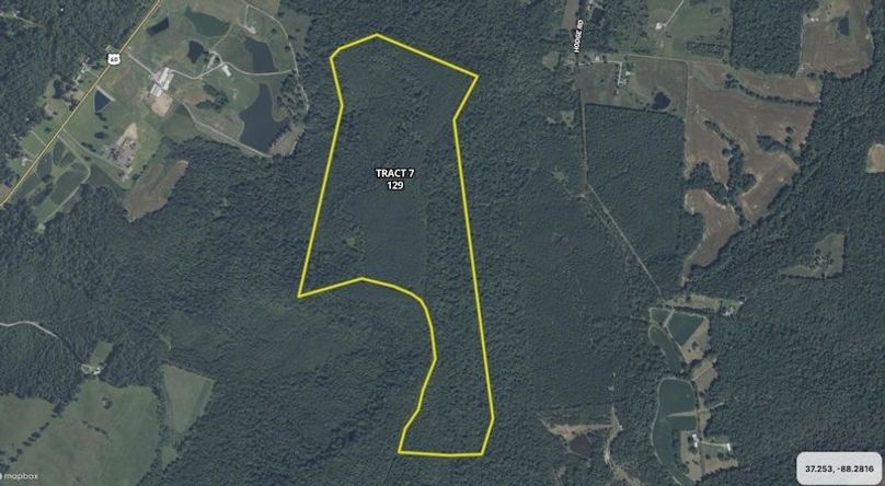 Livingston Tract 7 - 129 Ac